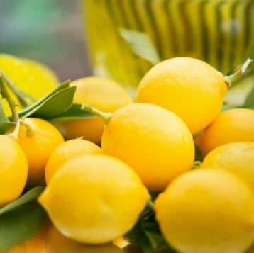 Buy California Lemons Direct from Orchard
