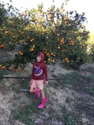 Chemical Free Organic Fruit Farm in California
